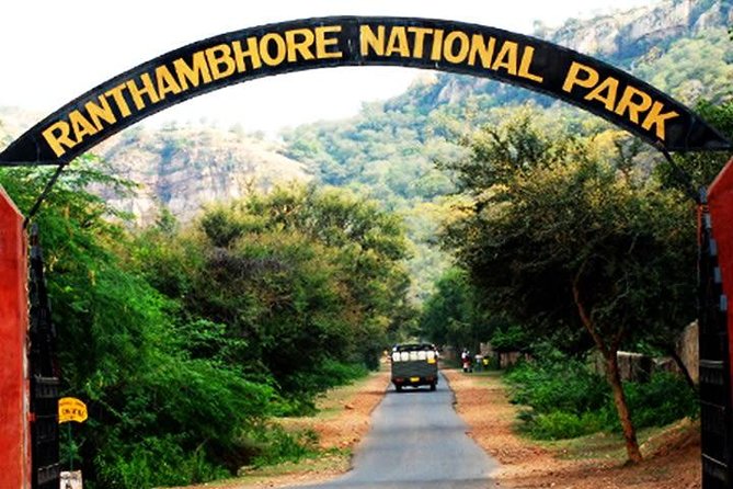 2-Days Private Ranthambhore Tiger Tour from Jaipur - The Most Important Part: Tiger Sighting Expectations