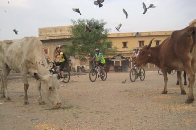 3-Hour Morning Bike Tour of Jaipur - Pink City streets: walled history, soft morning light, and real neighborhoods