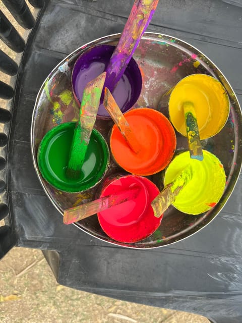 Elefun Best Elephant Sanctuary in Jaipur - Elephant washing and shower: what to expect by season