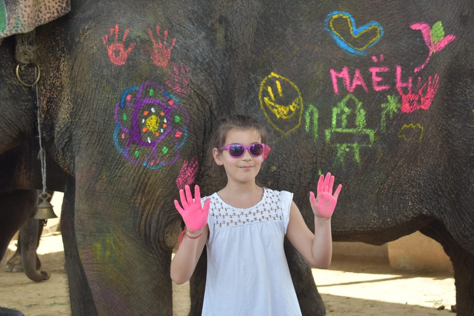 Elefun Best Elephant Sanctuary in Jaipur - Rescued herd, individual attention, and caretaker-led care
