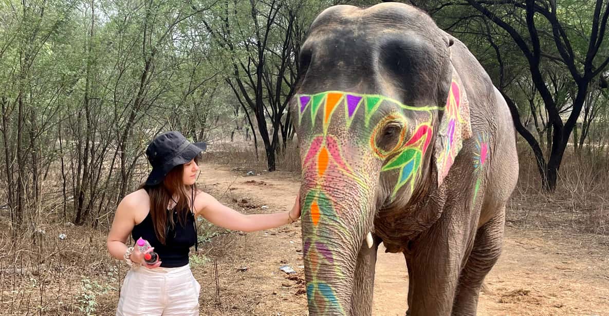 Elefun Best Elephant Sanctuary in Jaipur - Pickup, welcome drinks, and getting on elephant time