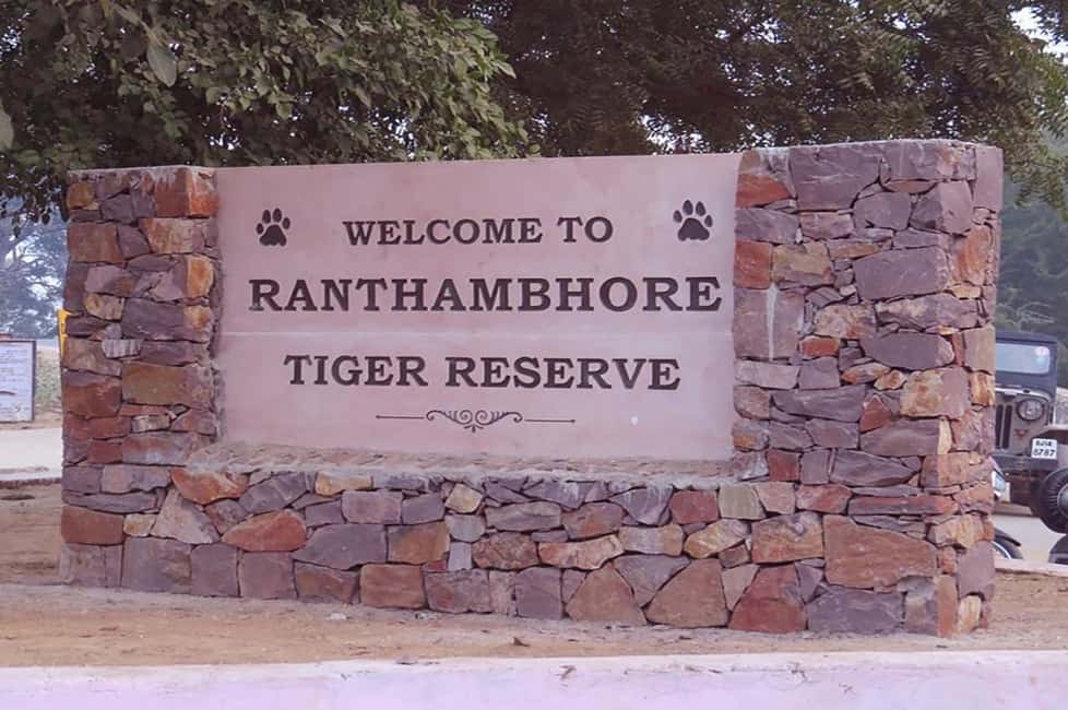 From Jaipur: Praivte Ranthambore Tour By Jeep Canter Safari - One-Day Ranthambore From Jaipur: Why This Works