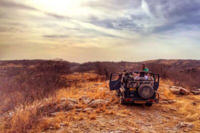 From Jaipur: Praivte Ranthambore Tour By Jeep Canter Safari - Inside Ranthambore: Jeep vs Canter and How It Changes Your View