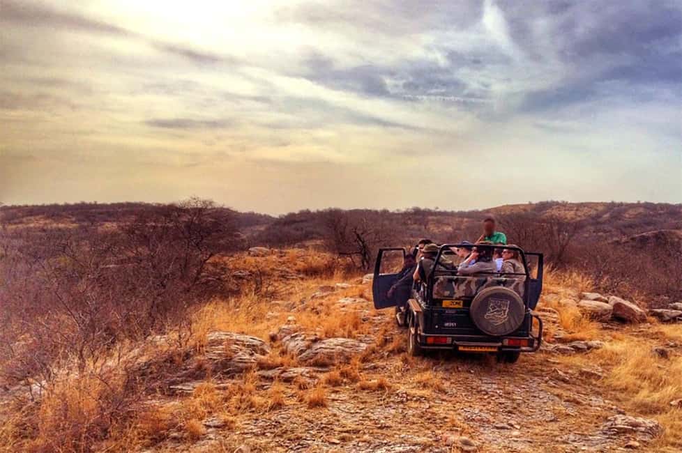 From Jaipur: Praivte Ranthambore Tour By Jeep Canter Safari - Inside Ranthambore: Jeep vs Canter and How It Changes Your View