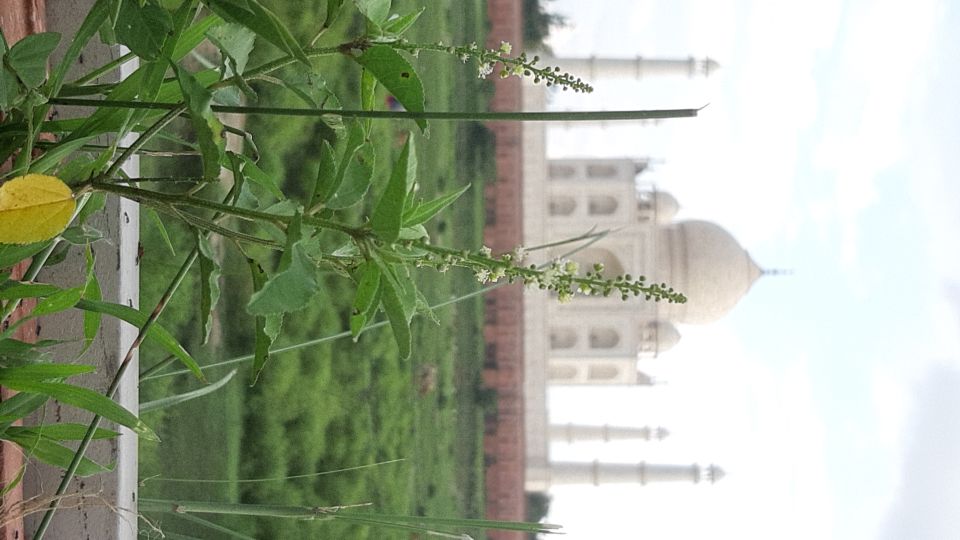 From Jaipur: Private Taj Mahal Sunrise & Agra Fort Tour - Private Transport From Jaipur: Comfort, Timing, and Group Size