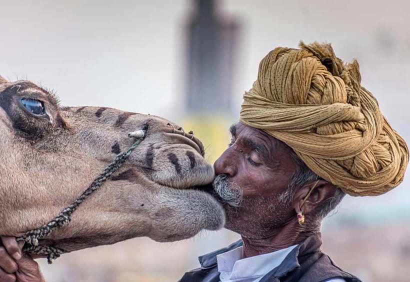 From Jaipur: Pushkar and Ajmer Private Day Trip - Entering Pushkar: Ana Sagar Lake, Aravalli views, and walking time