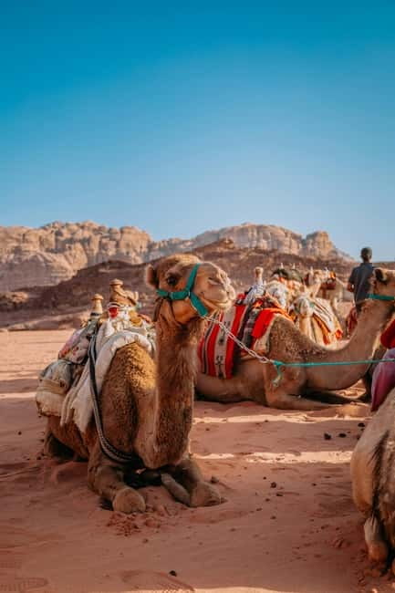 From Jaipur: Pushkar and Ajmer Private Day Trip - Pushkar desert safaris: camel, jeep, and the add-on reality