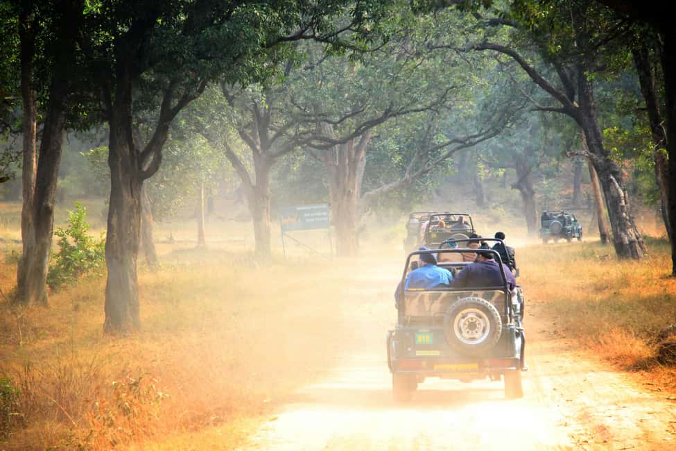From Jaipur: Ranthambore National Park Day Trip with Safari - Price and Logistics: Is $85 a Fair Deal