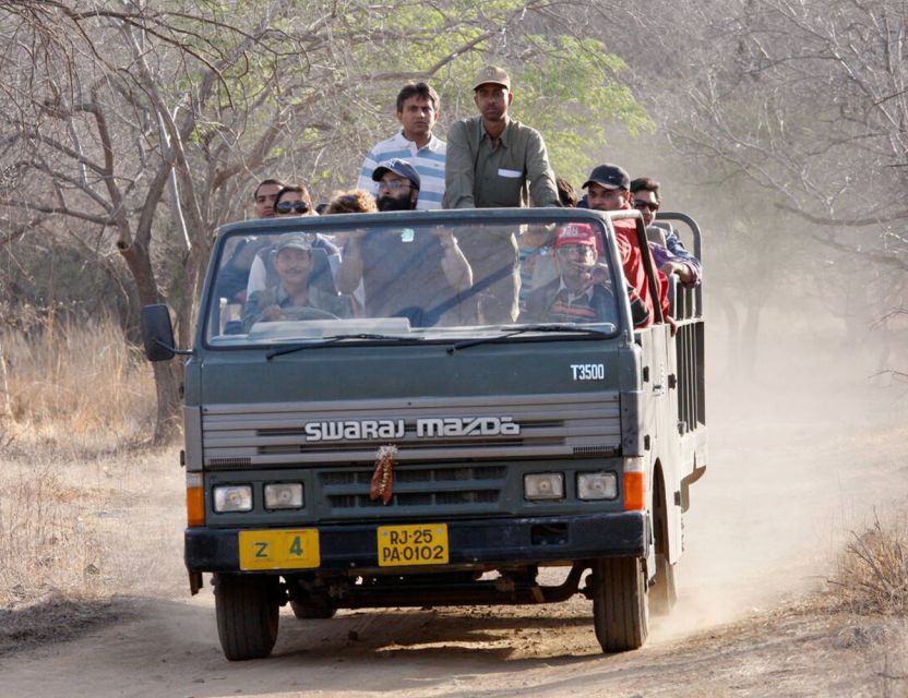 From Jaipur: Ranthambore Tour with Cab - Day trip from Jaipur: why Ranthambore is worth the drive