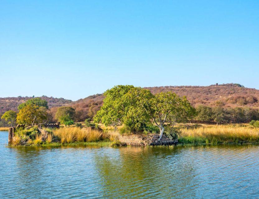 From Jaipur: Ranthambore Tour with Cab - Safari at Ranthambore: jeep vs canter and what to expect