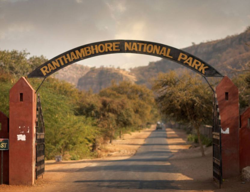 From Jaipur: Ranthambore Tour with Cab - Who this Ranthambore day trip suits best