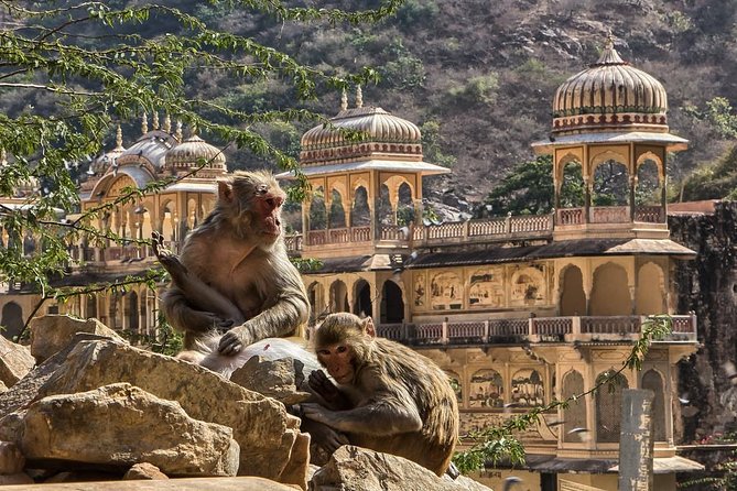 Full-Day Private City Tour of Jaipur - Getting started smoothly: pickup, AC car, and what to expect