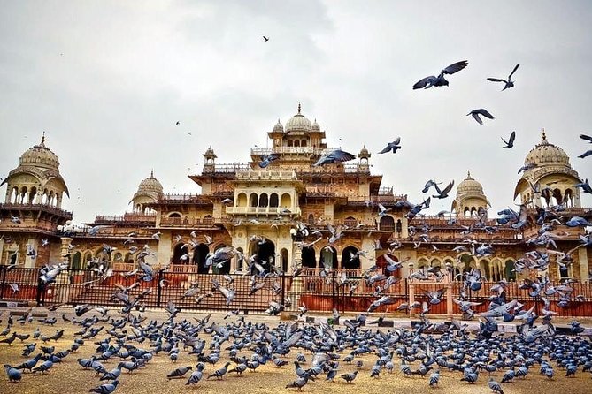 Full-Day Private Tour Heritage of Jaipur with Amber Fort - Amber Fort: The Hilltop Start That Makes the Day