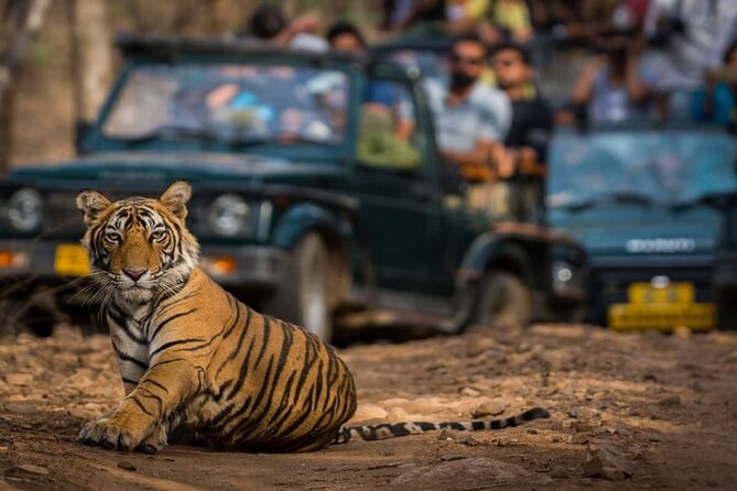 Golden Triangle & Ranthambore: 4-Day Private Tour from Delhi - Key Things I’d Pay Attention To