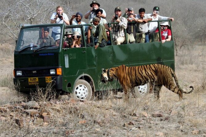 Golden Triangle & Ranthambore: 4-Day Private Tour from Delhi - Price and Value: What $215 Really Buys (Private Car, Hotels, and Safari)