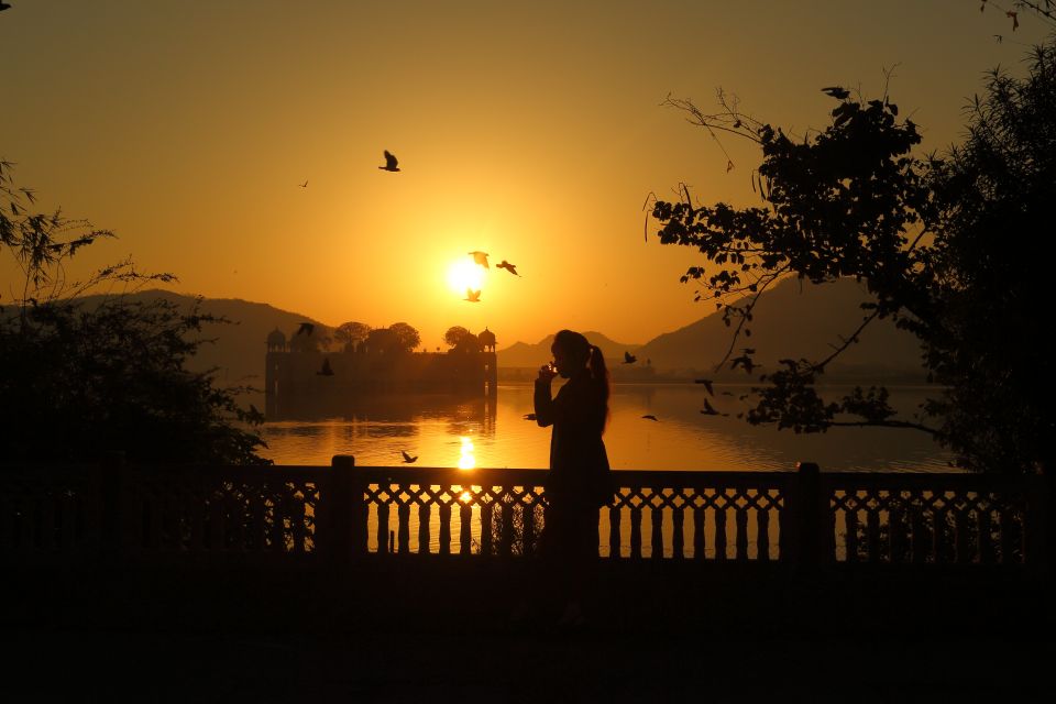 Jaipur Amer Fort, Jal Mahal & Stepwell Private Half-Day Tour - Jal Mahal at Lake Man Sagar: seeing the Water Palace vibe