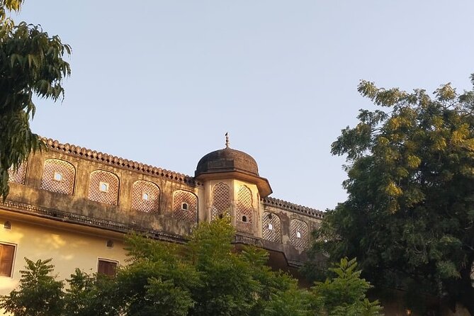Jaipur City Full Day Luxury Private Tour - Jal Mahal and Man Sagar Lake: short visit, big postcard effect
