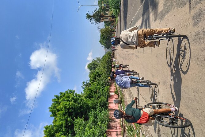 Jaipur Cultural Cycling Tour - Quick hits: what makes this cycling tour worth your morning