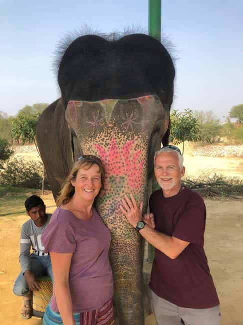 Jaipur: Elephant Interaction Tour - Key things that make this tour worth your time