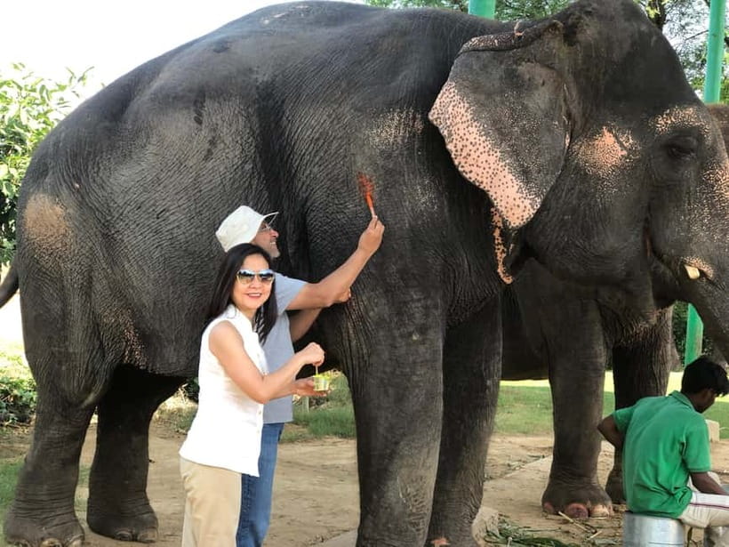 Jaipur: Elephant Interaction Tour - Who should book this Jaipur elephant interaction tour