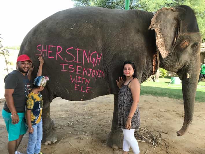 Jaipur: Elephant Interaction Tour - Getting picked up in Jaipur and reaching the Elephant Village
