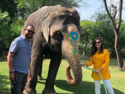 Jaipur: Elephant Interaction Tour - The first contact: learning elephant body language before you do anything