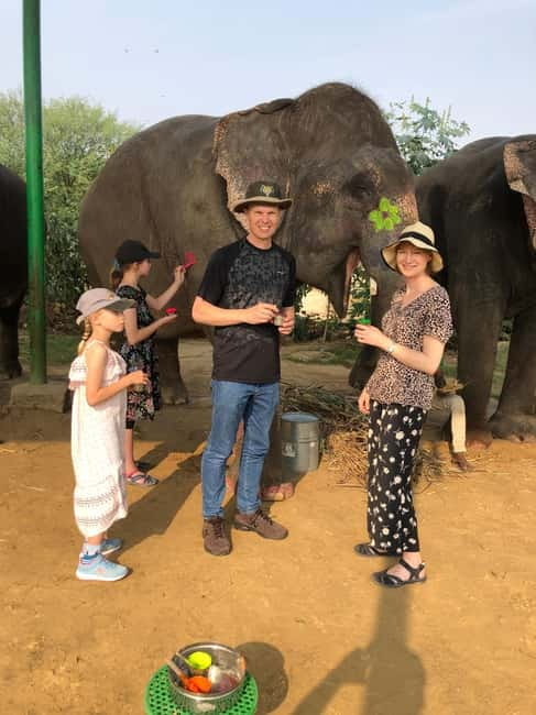 Jaipur: Elephant Interaction Tour - Mud bath with elephants: fun on the surface, care underneath