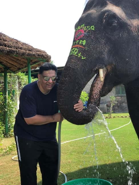 Jaipur: Elephant Interaction Tour - Painting elephants with natural color and taking time for photos