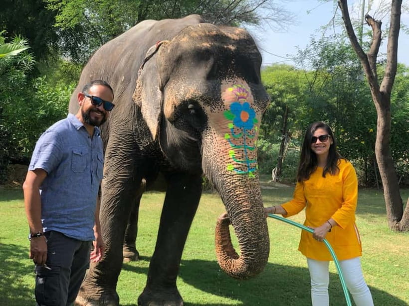 Jaipur: Elephant Interaction Tour - The first contact: learning elephant body language before you do anything