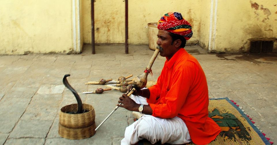 Jaipur: Full-Day Private City Tour by Car with Guide - Key Highlights to Look For