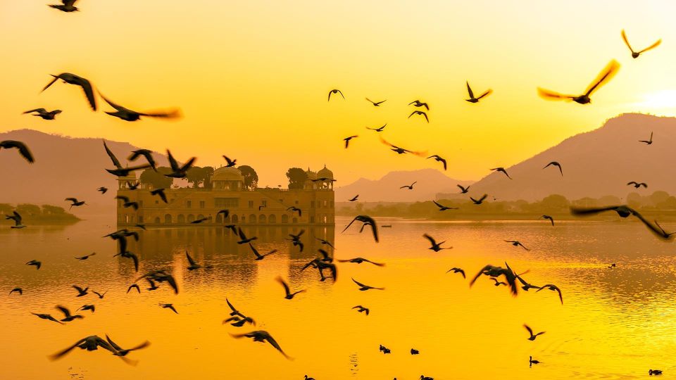 Jaipur: Full-Day Private Sightseeing Tour by Tuk Tuk - Price and value: what $9 covers, and what you’ll still pay