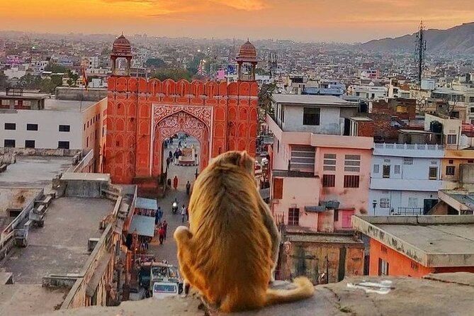 Jaipur Full Day Tour By Car And Guide With Hotel Pickup - The AC pickup that makes a long day feel doable