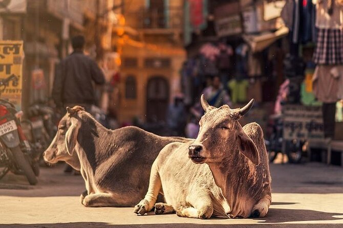 Jaipur Full Day Tour By Car And Guide With Hotel Pickup - Panna Meena ka Kund: a small stop with a distinct look