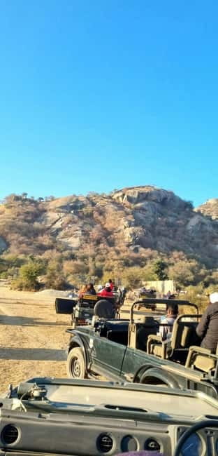 Jaipur: Jhalana Amagarh Leopard Reserve 4×4 Jeep Safari - Photo and comfort tips that actually help in the Aravalis