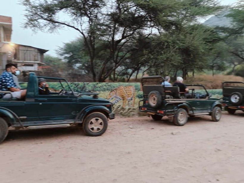 Jaipur: Jhalana Amagarh Leopard Reserve 4×4 Jeep Safari - Who should book this safari in Jaipur