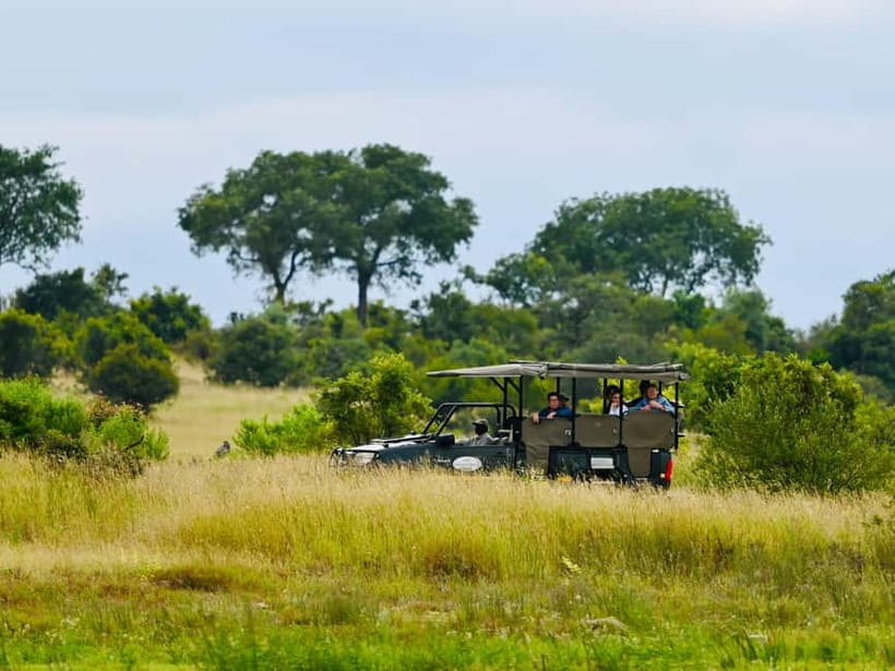 Jaipur: Jhalana Amagarh Leopard Reserve 4×4 Jeep Safari - What the 4x4 Jeep Safari feels like on the ground