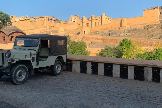 Jaipur Sightseeing By Car, Driver and Guide - Albert Hall Museum: Quick Photo Stop, Big Victorian-Style Impact