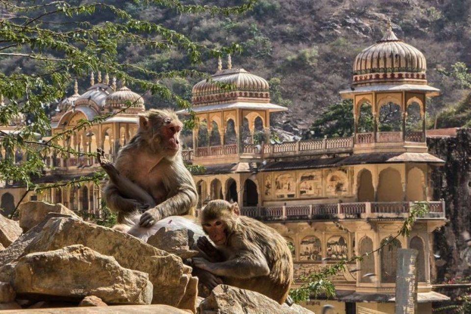 Jaipur sightseeing tour with monkey temple (Galta ji temple) - Shopping for Jaipur Arts and Crafts: Time to Buy Something That Fits