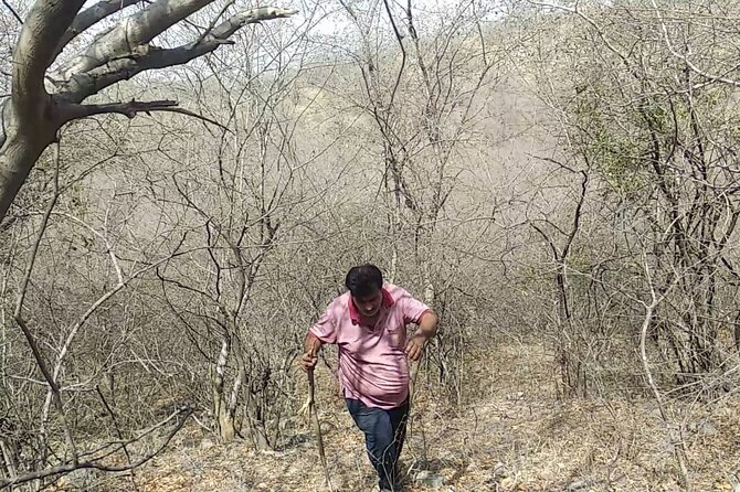Jaipur Trekking and Hiking Tour with Guide - Getting ready: gear and small habits that make the trek easier