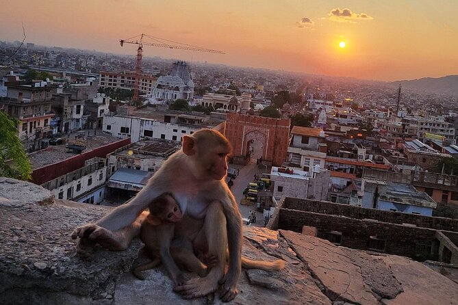 Jaipur Tuk Tuk Sightseeing Tour with Monkey Temple Sunset View - Jantar Mantar: when giant instruments explain the sky