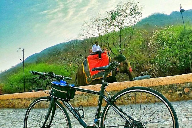 Nahargarh Cycle Tour in Jaipur - Downhill to Govind Devji Temple and Tripolia Bazar Food Time