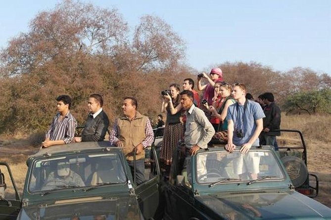 Private 4-Day Wildlife & Taj Mahal Tour from Jaipur to Delhi - Fatehpur Sikri: a red-sandstone pause between big ticket cities