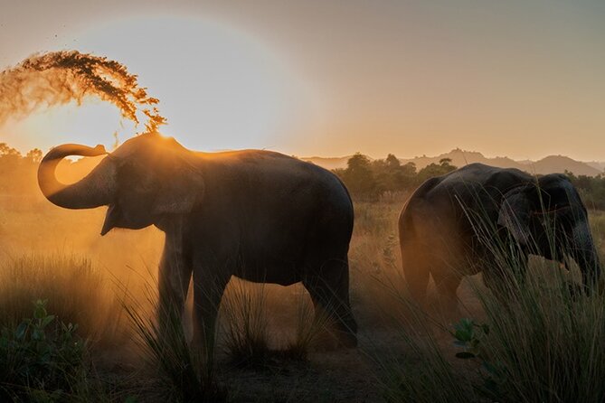 Private Elephant Sanctuary - Key Highlights You’ll Notice Fast
