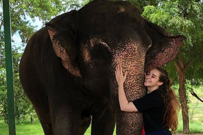 Private Elephant Sanctuary - Private Pickup in Jaipur: What the Morning Logistics Feel Like