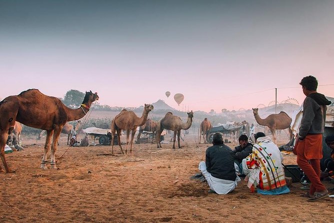 Private Full Day Jaipur Sightseeing Tour By Tuk-Tuk (Rickshaw) - Hawa Mahal: a must-see façade with smart photo strategy