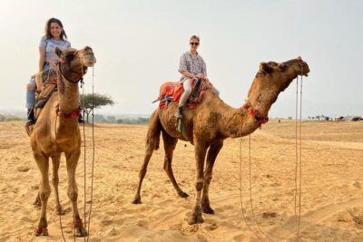 Pushkar Day Trip from Jaipur – Private Car, Safari, Guide & Lunch - Brahma Temple stop: quick access to Pushkar’s spiritual center