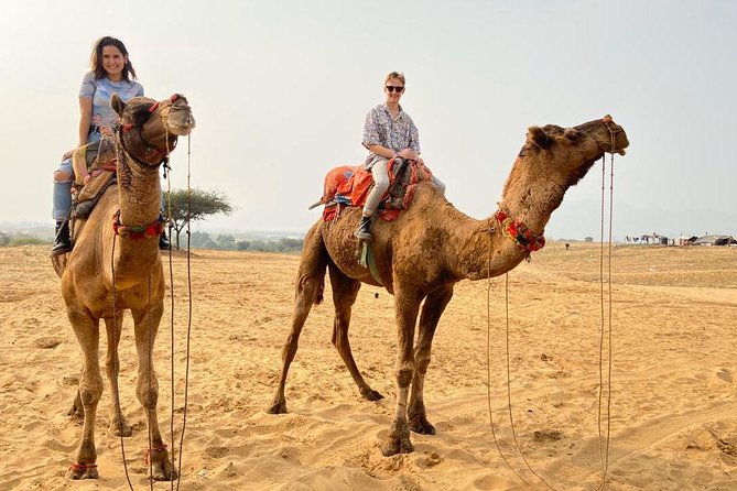 Pushkar Day Trip from Jaipur – Private Car, Safari, Guide & Lunch - Brahma Temple stop: quick access to Pushkar’s spiritual center