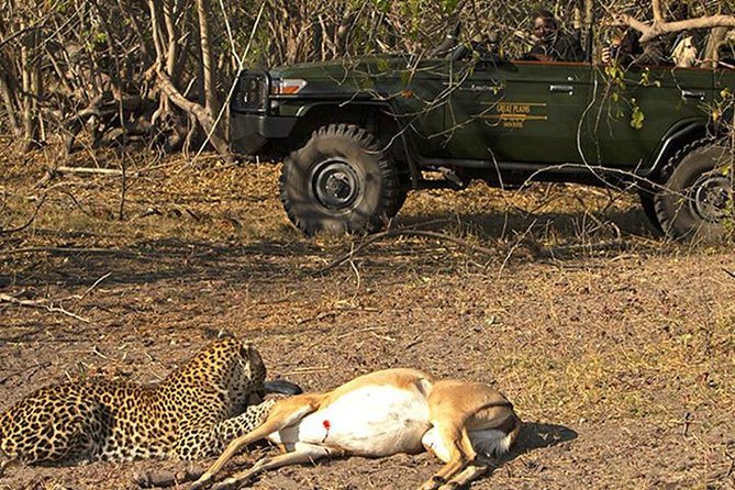 Safari In Jhalana Leopard Conservation Reserve, Jaipur - How the 2.5-Hour Jeep Safari Usually Runs