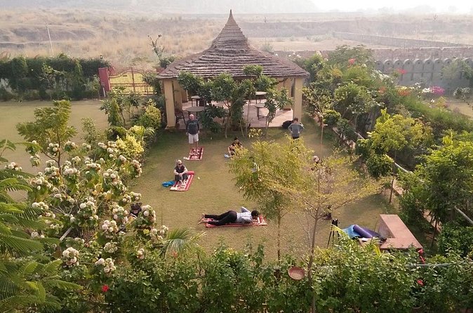 Yoga In Jaipur - Timing: Choosing a Session That Fits Your Energy
